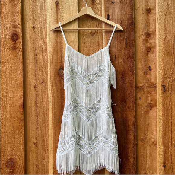 White and Beige Sequin Fringe Flapper Mini Dress 🌿 - Picture 11 of 16